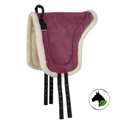 8013404 PON 20 800x800