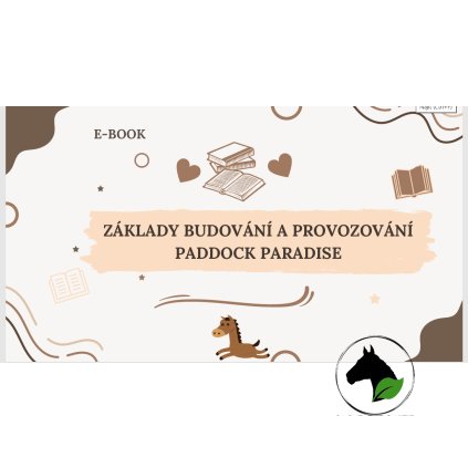 Snímek obrazovky 2025 05 31 202300