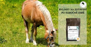 V přirozených podmínkách by koně přesně tyto bylinky cíleně vyhledávali a konzumovali, protože ví, že jsou pro jarní...