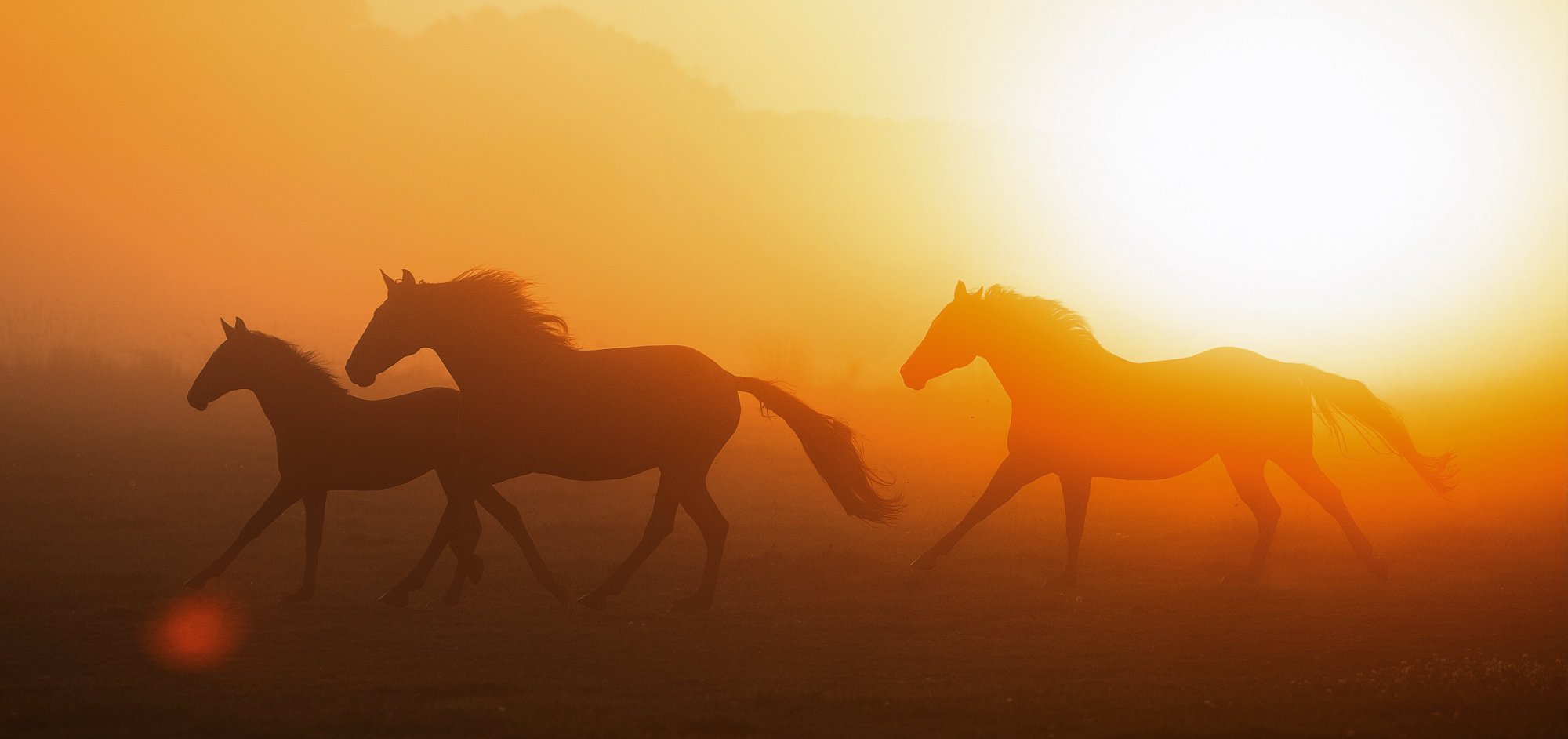 Co používám já a co se mi dlouhodobě osvědčilo u mých koní?