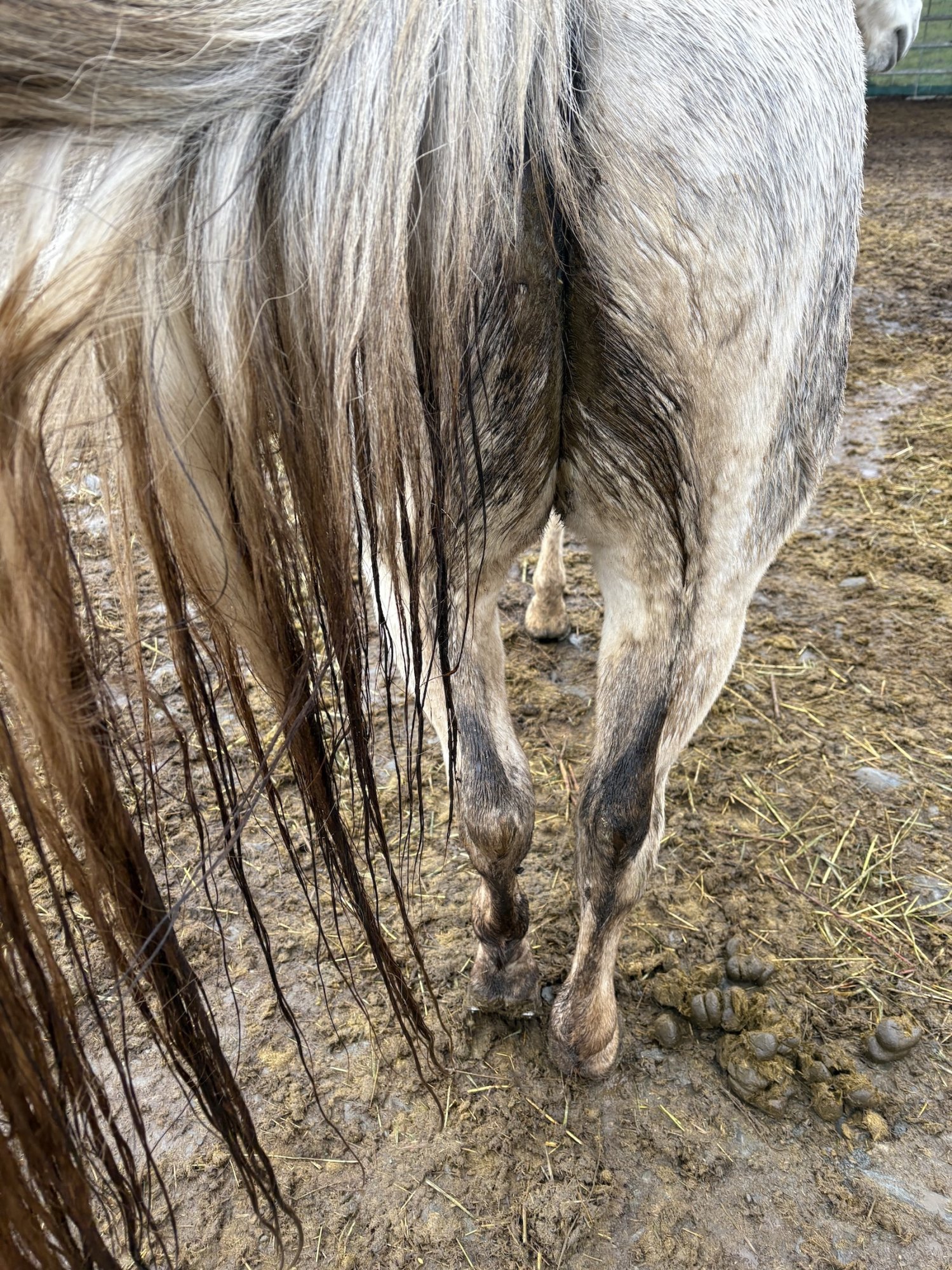 Průjem nebo konečníková voda?