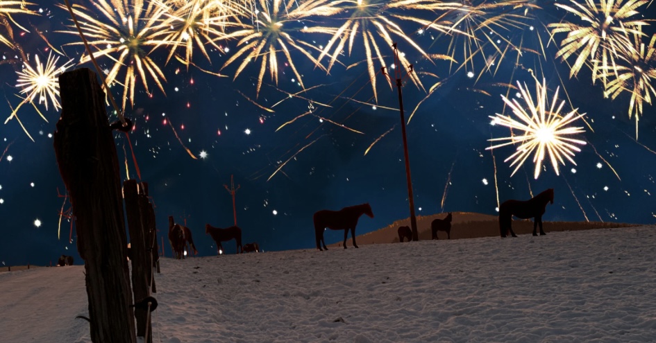 Příprava koně na ohňostroje aneb začněte včas!