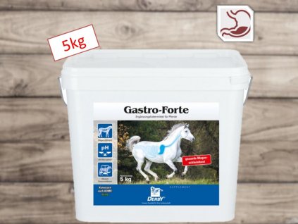 Derby GASTRO FORTE