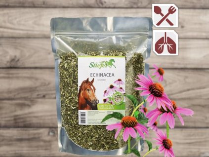 Stiefel Echinacea