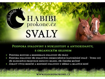 SVALY NA ŠIRKU kopie