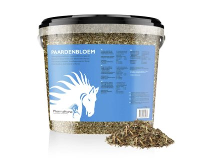 Snímek obrazovky 2025 12 12 093722