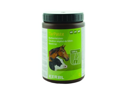 0038572 tar paste 1 kg pu00810