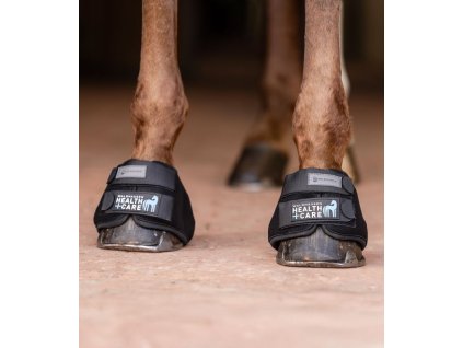 3753101 L 20 800x800