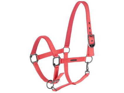 Ohlávka Covalliero S/S 2025, korálová