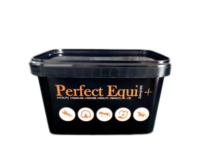 perfect equi