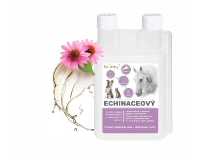 dromy echinacea