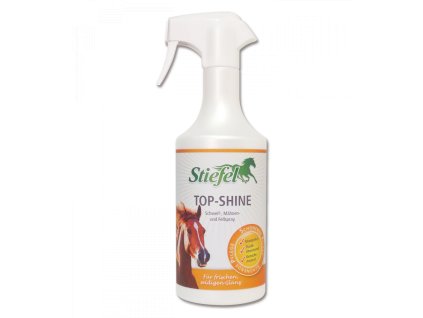 stiefel top shine