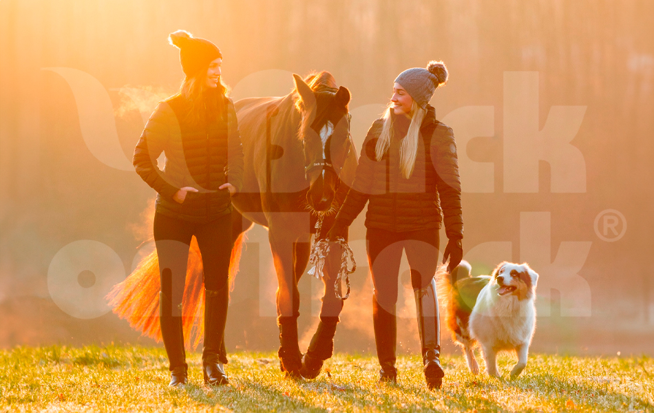 Back on Track – terapie pro zvířata i lidi