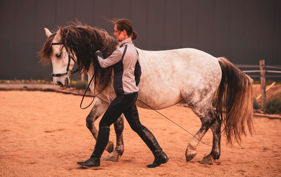 RECENZE: F.R.A. Caval - bezudidlová uzdečka