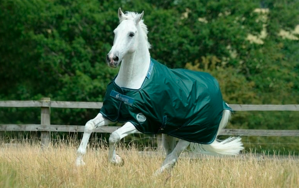 DEKOVÁNÍ: Velký průvodce druhy dek