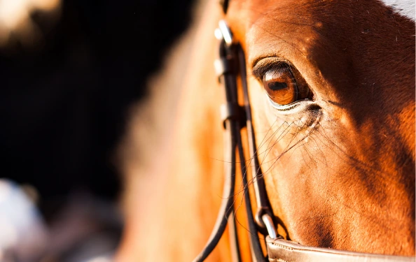 ČAS NA JARNÍ RESTART!