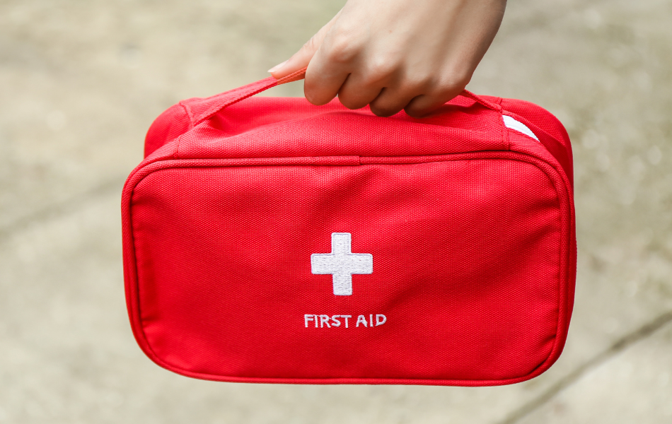 Stájová lékárnička, aneb první pomoc po ruce