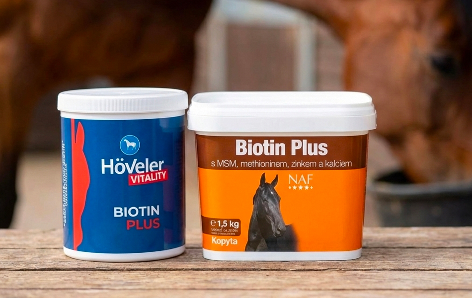 Jak pečovat o kopyta v zimě?