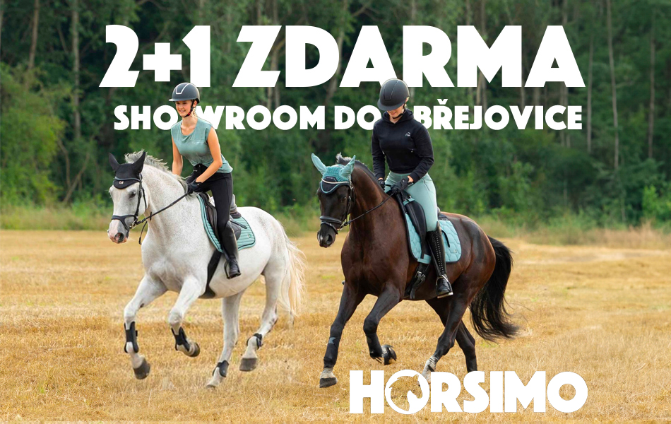 2+1 ZDARMA na skladovky v showroomu