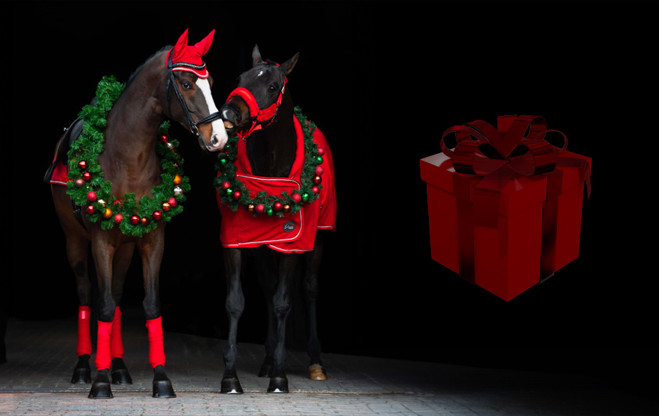 Tipy na vánoční dárky pro milovníky koní