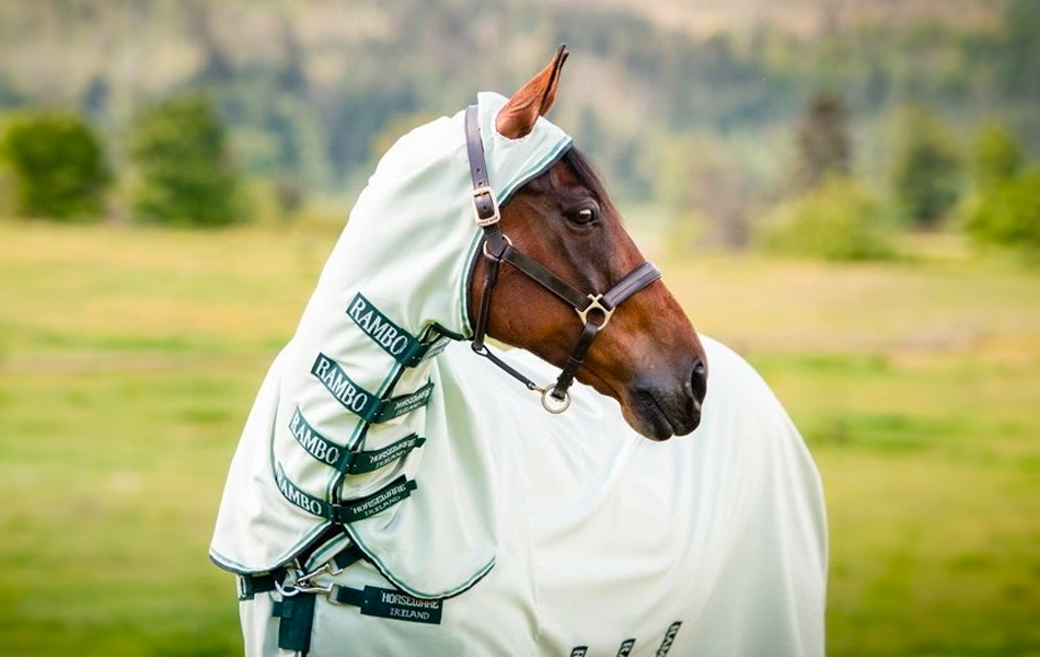 Jak vybrat: deky proti hmyzu