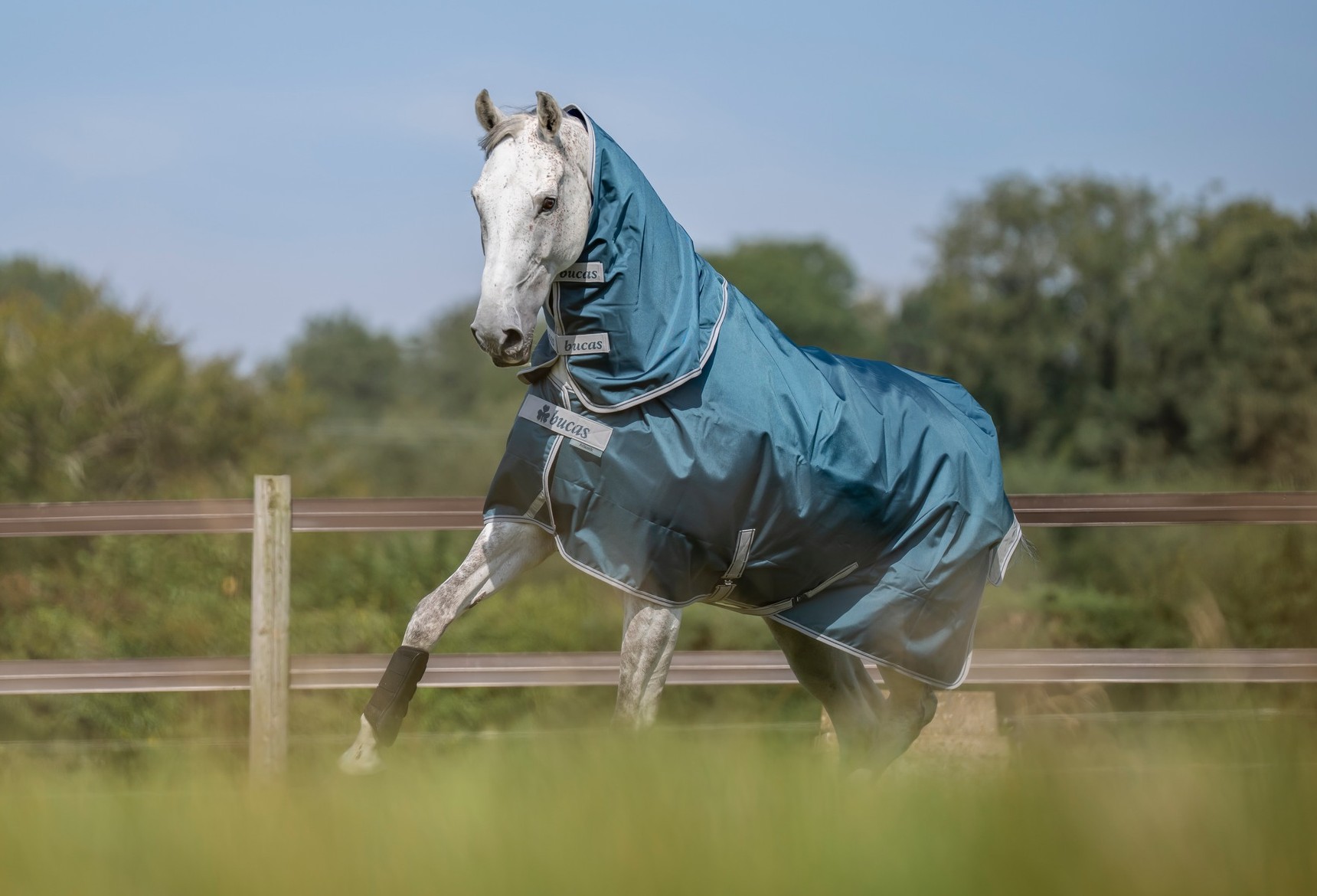 Široký výběr kvalitních dek BUCAS