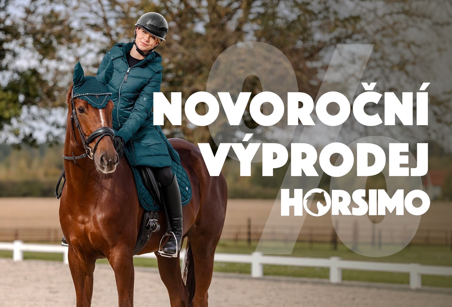 Novoroční výprodej