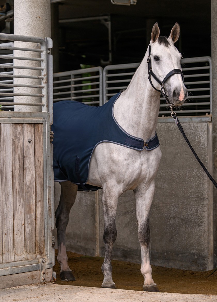 Pracovní deky pro koně