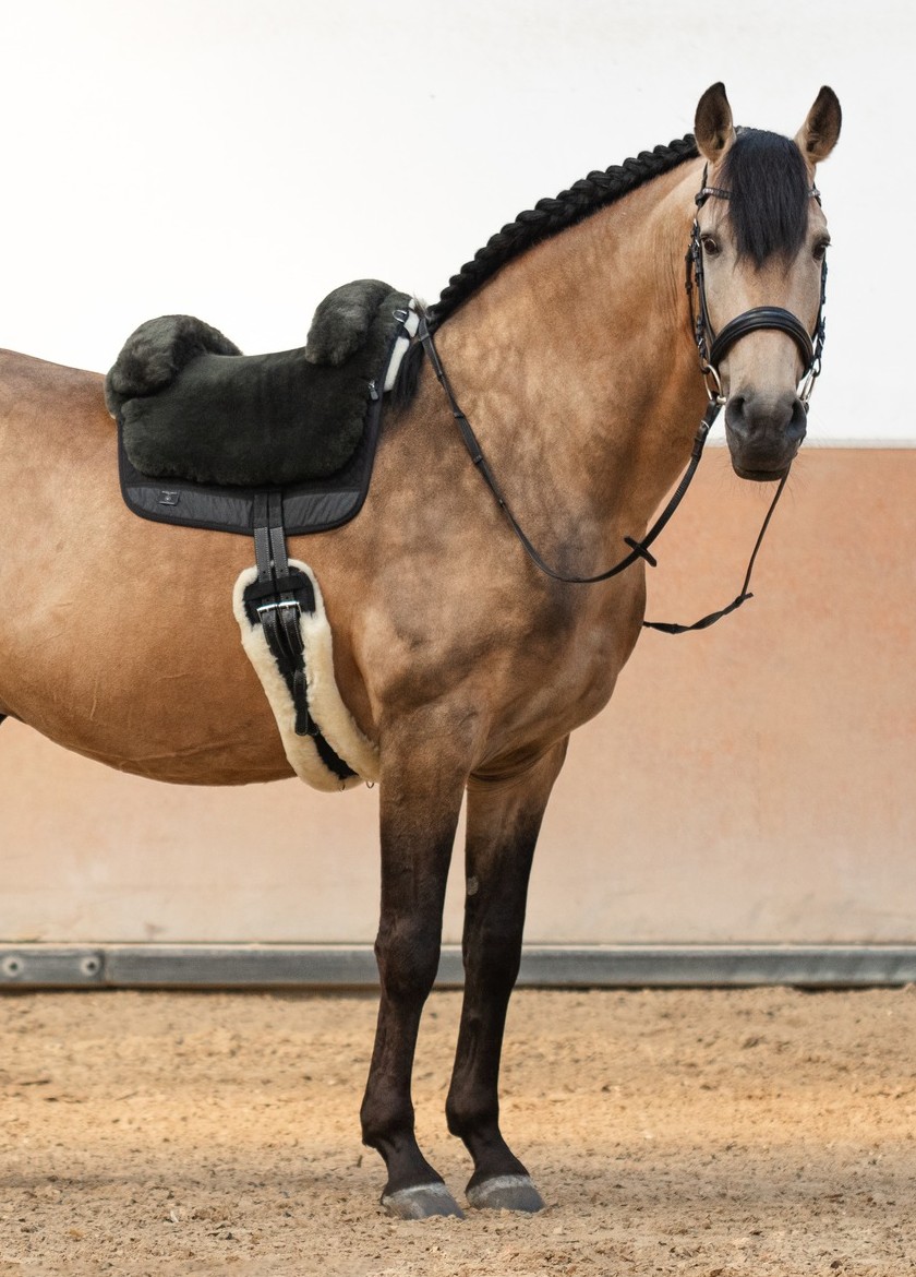 Dokonalé beránkové pady WERNER CHRIST HORSE