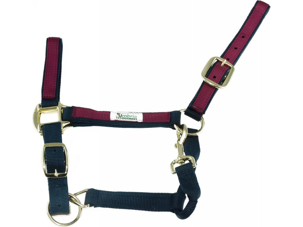 Ohlávka nylonová Colored Parts Umbria Equitazione, navy/burgundy