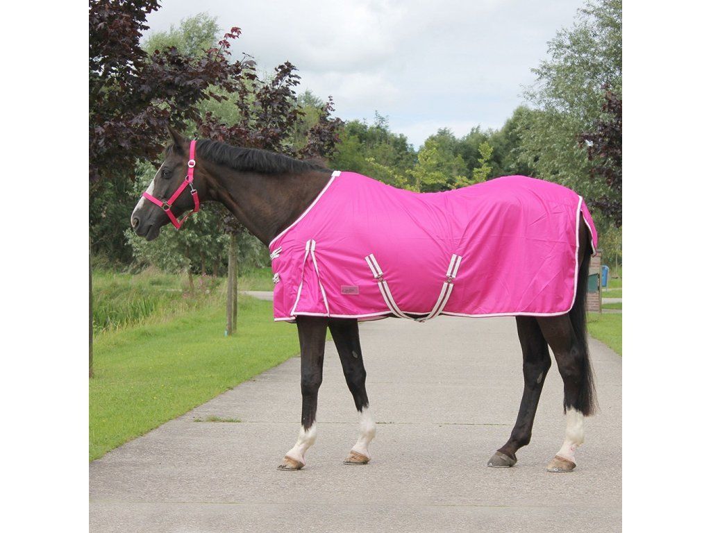 Licou De Longe QHP Pour Cheval, Couleur Fuchsia Pink, Taille Unique (sans Marque)
