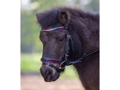 Uzdečka Pinky Star Waldhausen, černá (Velikost MINI SHETTY)