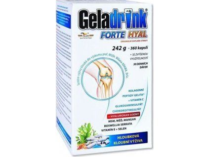 110762 gd forte hyal kapsle 1