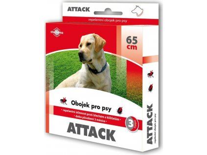 111497 1 120211321 o