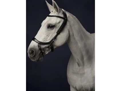 Uzdečka anatomická FaySport PresTeq, černá (Velikost COB)