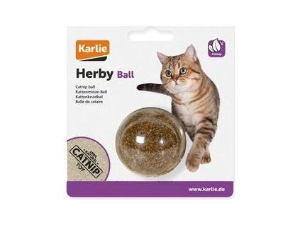 c2c31de819b62fc58954478583b9e433