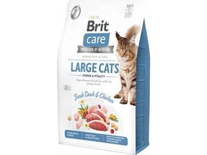 8896c71301da867eb36081e0be7e30ea