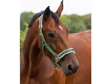 Ohlávka Christmas QHP, elf (Velikost SHETTY)