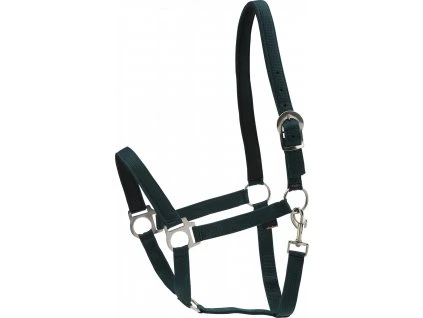 Ohlávka se stříbrným kováním Nylon HorseGuard, green (Velikost SHETTY)