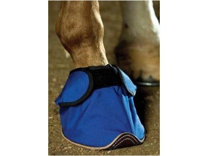 310c3a1ea874db98f558a492a52968b3