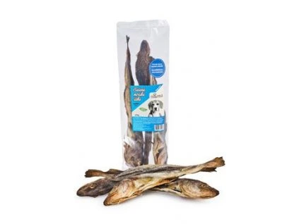 3aae5f082f3deadeaf77cb284a7401ff