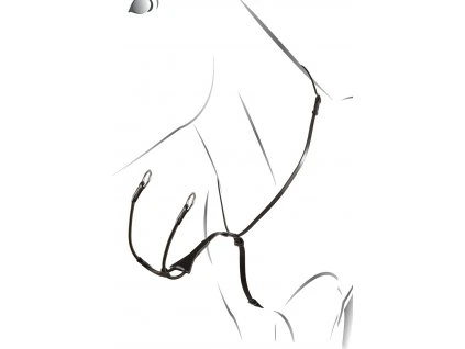 Martingal kožený Melanie Equestro, černý (Varianta COB)