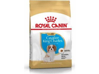 99f5b4cb2dc3d2585d436887105181f8