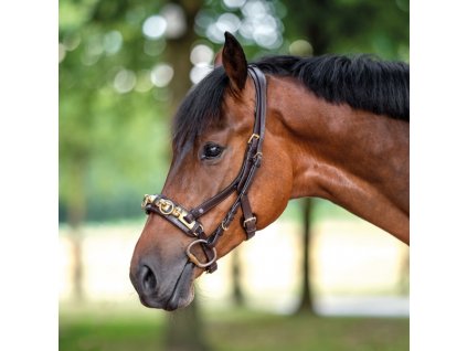 Obnosek lonžovací Anatomix BUSSE, brown/brass