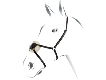 Nánosník mexický Equestro, černý