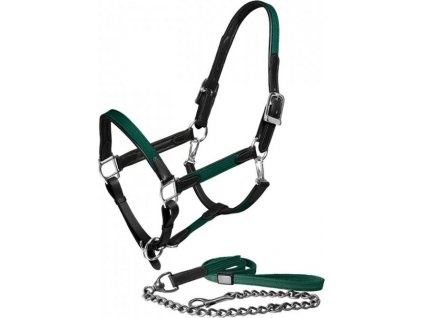 Set kožené ohlávky s vodítkem Equestrian Stockholm, sycamore green