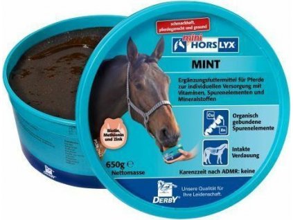Liz pro koně HORSLYX Mint, 650 g