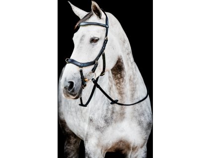 Uzdečka Rambo Micklem Multibridle 2, černá