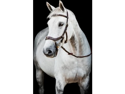 Uzdečka Rambo Micklem Multibridle 2, dark havana (Velikost COB/FULL)