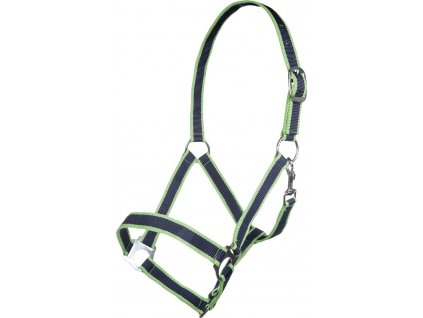 Ohlávka Budest HKM, navy/grass green